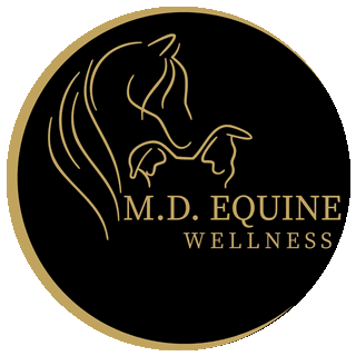 MD Equine Wellness